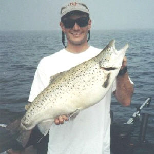 Anthony Ficacci from Flanders, N.J.  caught this monster 16 pound brown trout from Lake Ontario