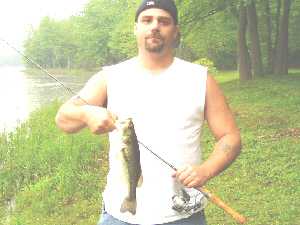 Dan who was fishing for pickerel. He was using a Lunker City  Fin-S and casting it into the lilly pads, then twitching it out into the open water.Thats when he caught this nice largemouth bass