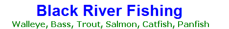  Black Lake Fishing Guides