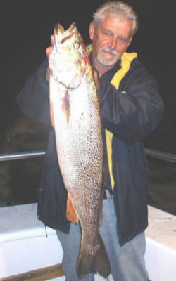 Carl H. Heckman from Farmingdale, New York, caught this 12 pound Weakfish aboard the open boat FISHFINDER fishing out of Captree State