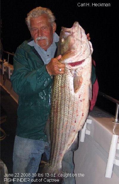 Carl H. Heckman from Farmingdale NY with a 39 pound striped bass