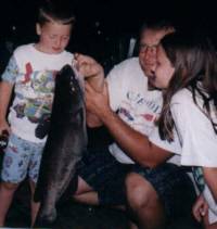 Catfish