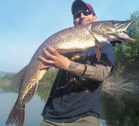 Shawn Fountain from Glenville NY was fishing on Collins Lake on 3/7/12 When he caught this fantastic Northern Pike that weighed 22 pounds