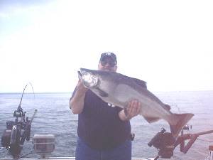 27 pound Lake Ontario Salmon Third Place Orleans County Derby fish