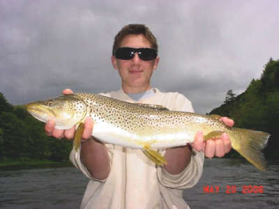Frankie Pace IV caught this awesome 24 Brown Trout on the East Branch of the Delaware River