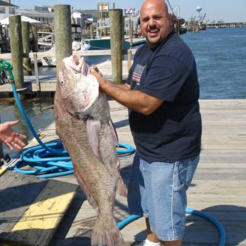 Black Drum v NYBlack Drum v NY  