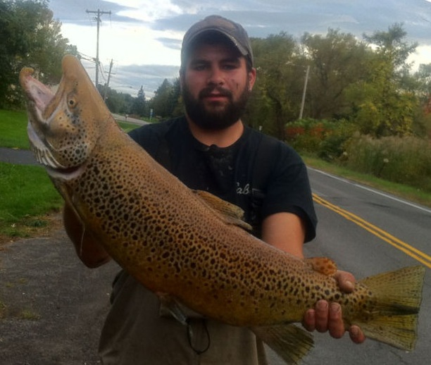 Joseph Parkhurst from Woodbury, Connecticut caught this monster 16 pound 8 ounce Brown Trout in an Orleans County Tributary in mid October of 2011