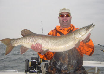 Ken Hemshrot with a 44 inch Muskellunge that was also released