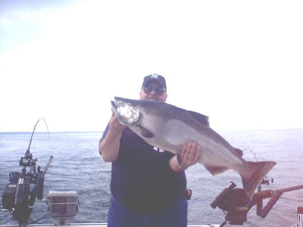 27.7 pound Lake Ontario Salmon third Place Orleans County Derby fish