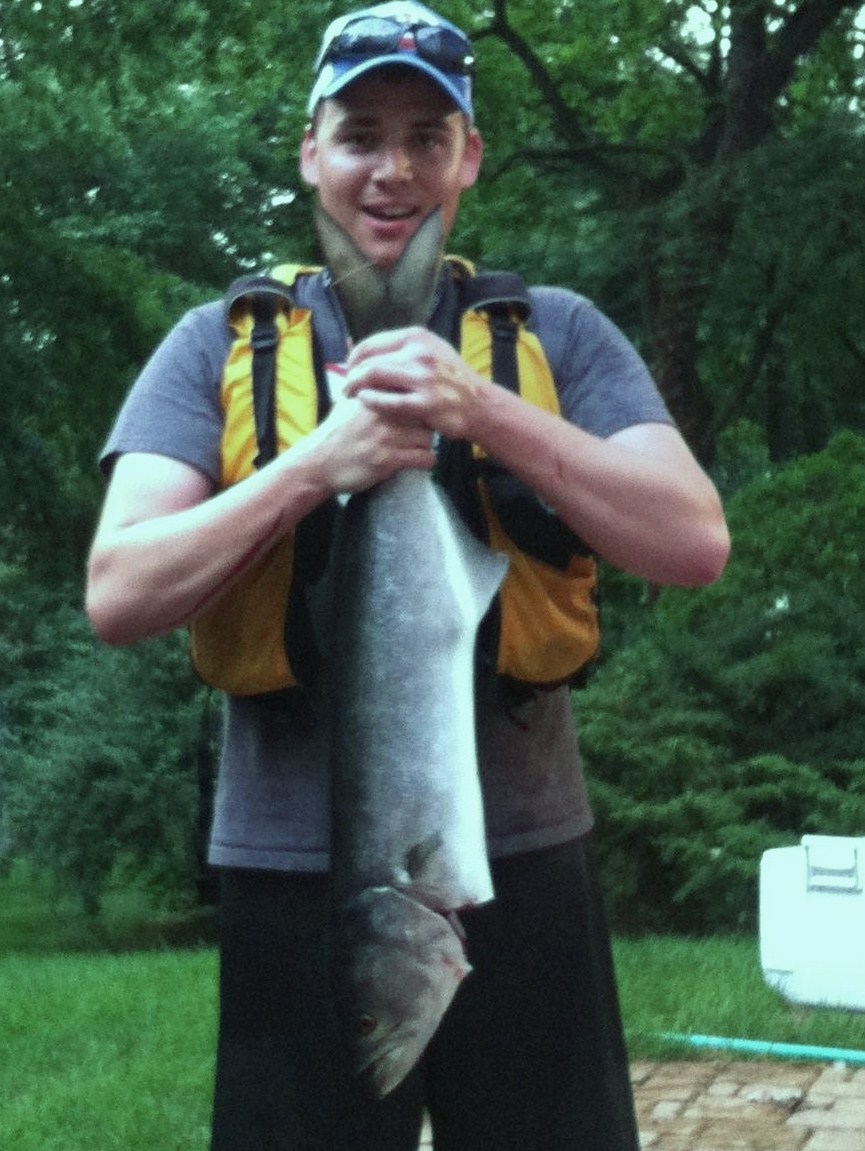 32 inch bluefish