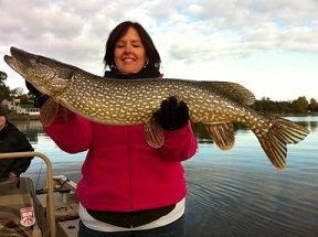 Lake Champlain Angler client Debbie Sanville shows off a perfect trophy northern pike specimen.