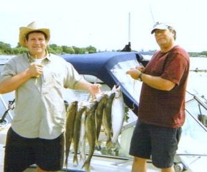 Lake Trout and Rainbow Trout