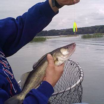 Mike Santos is pictured here with a nice walleye he caught from Delta Lake