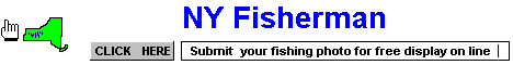 Fishing Guides