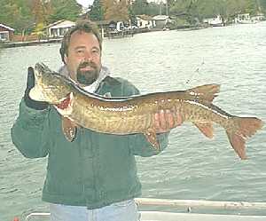 Postcard Musky Pike Trio Three Fish Stringer Catch Fishing Lake