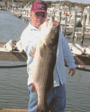 Raymond Martin of Elmira, NY with a 32 pound striped bass caught on the Charter Boat Herl's Girl in Montauk NY