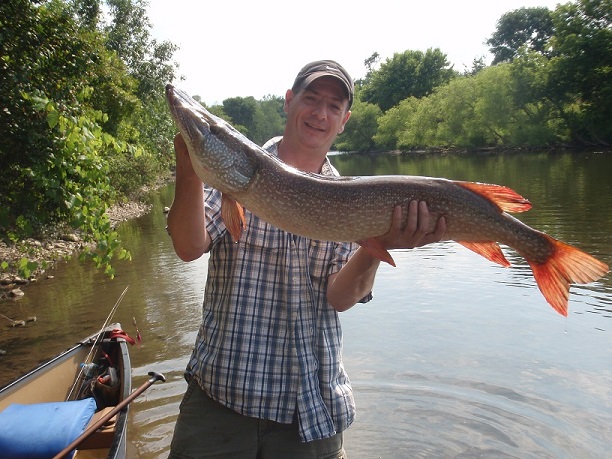 Pictured here is Pat Osterwald with his biggest pike of the 2012 season. This monster pike was caught on a friends custom made spinner. This Pike was over 20 pounds and was caught in the Chenango River around Norwich NY