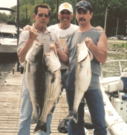 The main factors that control the upstream migration of the striped bass are the water temperature and water clarity