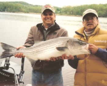 The Hudson River is a tidal river and a NY Fishing License is not required