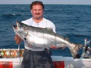 38 pound Lake Ontario Salmon