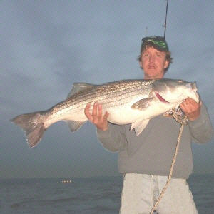 Richard Ferreira from Cortlandt Manor, NY was fishing on the Hudson River aboard his boat in early May, 2004. He was fishing the Croton Bay area and was using live herring for bait that he purchased from Buchanan Bait and Tackle