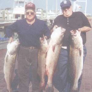 Charles Cleary and his brother James Cleary from Elmira NY with some very nice Striped Bass