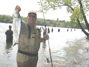 Jim Cleary Jr. with a nice shad caught from the upper Hudson River Below the Troy Dam.