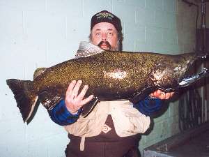 Ron Shrout from Gillett P.A. he is holding a trophy size king salmon that he caught in the fall 2002 from the Oswego River. This rather large specimen weighed in at just over 30 pounds