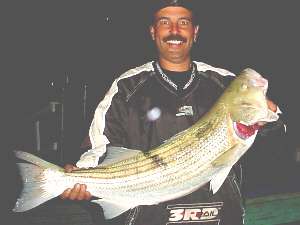 Captain Joe bud Russo with his 24pound striper caught on bunker in Jamaica Bay  05-21-2003