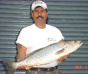 Captain Joe bud Russo with his 10.64 lbs. weak fish caught on bunker in Jamaica Bay  05-21-2003