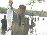 Hudson River Shad Fishing