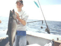Salmon Fishing In Oswego New York
