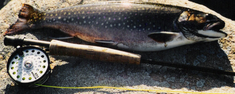 Trout Bum Guide Service logs more days on Skaneateles Lake chasing trout with traditional fly tackle than any other guide service. Experience makes the difference